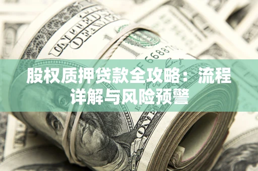 武汉股权质押贷款全攻略：流程详解与风险预警