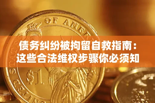 武汉债务纠纷被拘留自救指南：这些合法维权步骤你必须知道！