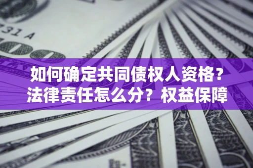 武汉如何确定共同债权人资格？法律责任怎么分？权益保障技巧揭秘！