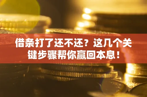 武汉借条打了还不还？这几个关键步骤帮你赢回本息！
