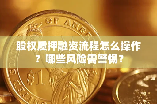 武汉股权质押融资流程怎么操作？哪些风险需警惕？