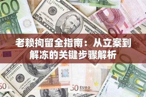 武汉老赖拘留全指南：从立案到解冻的关键步骤解析