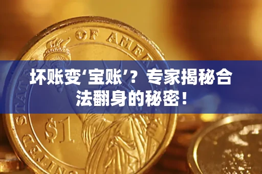 武汉坏账变‘宝账’？专家揭秘合法翻身的秘密！