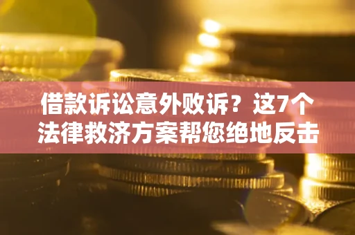 武汉借款诉讼意外败诉？这7个法律救济方案帮您绝地反击！