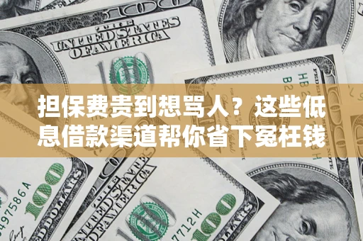 武汉担保费贵到想骂人？这些低息借款渠道帮你省下冤枉钱