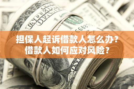 武汉担保人起诉借款人怎么办？借款人如何应对风险？