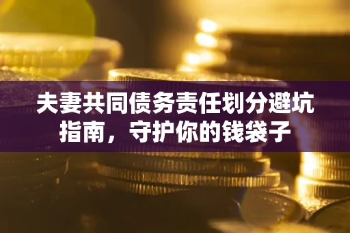 武汉夫妻共同债务责任划分避坑指南，守护你的钱袋子