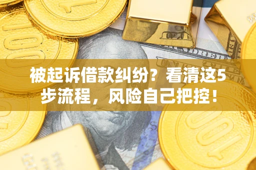 武汉被起诉借款纠纷？看清这5步流程，风险自己把控！