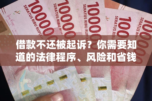 武汉借款不还被起诉？你需要知道的法律程序、风险和省钱技巧
