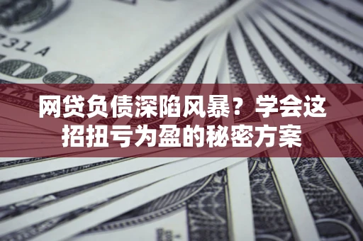 武汉网贷负债深陷风暴？学会这招扭亏为盈的秘密方案